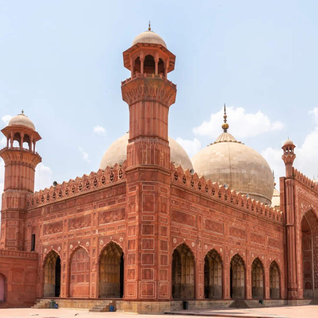 Pakistani Collections