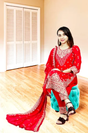 Women’s rich chinnon Straight Kurti