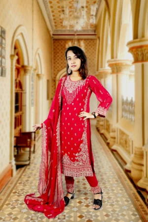 Women’s rich chinnon straight kurti 2